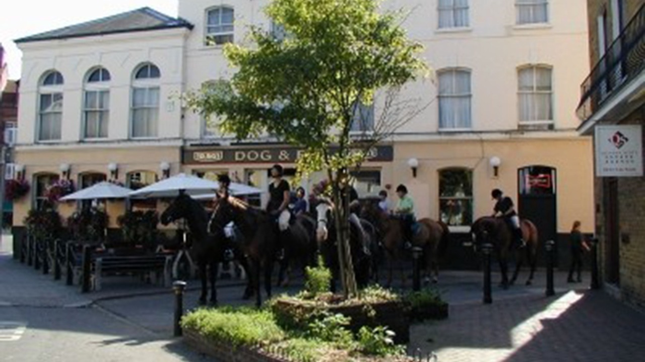 Photo of Outdoor in Hillside