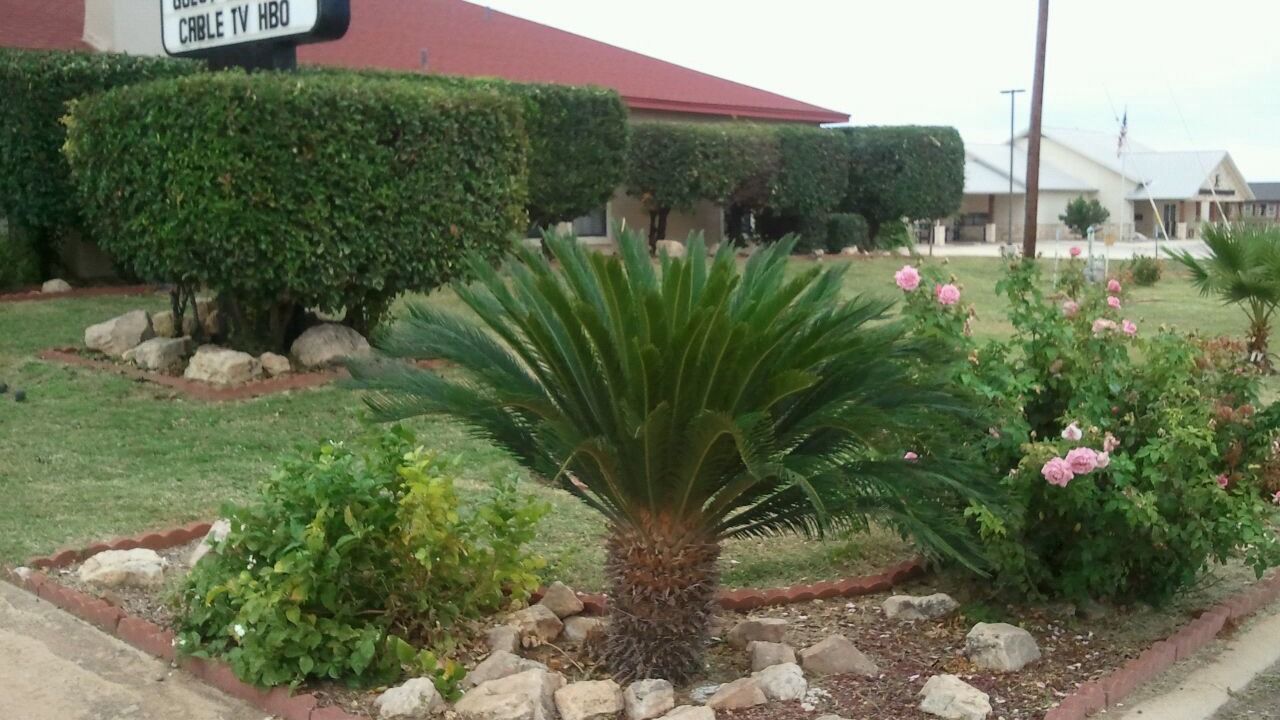 Photo of Outdoor in Pearsall