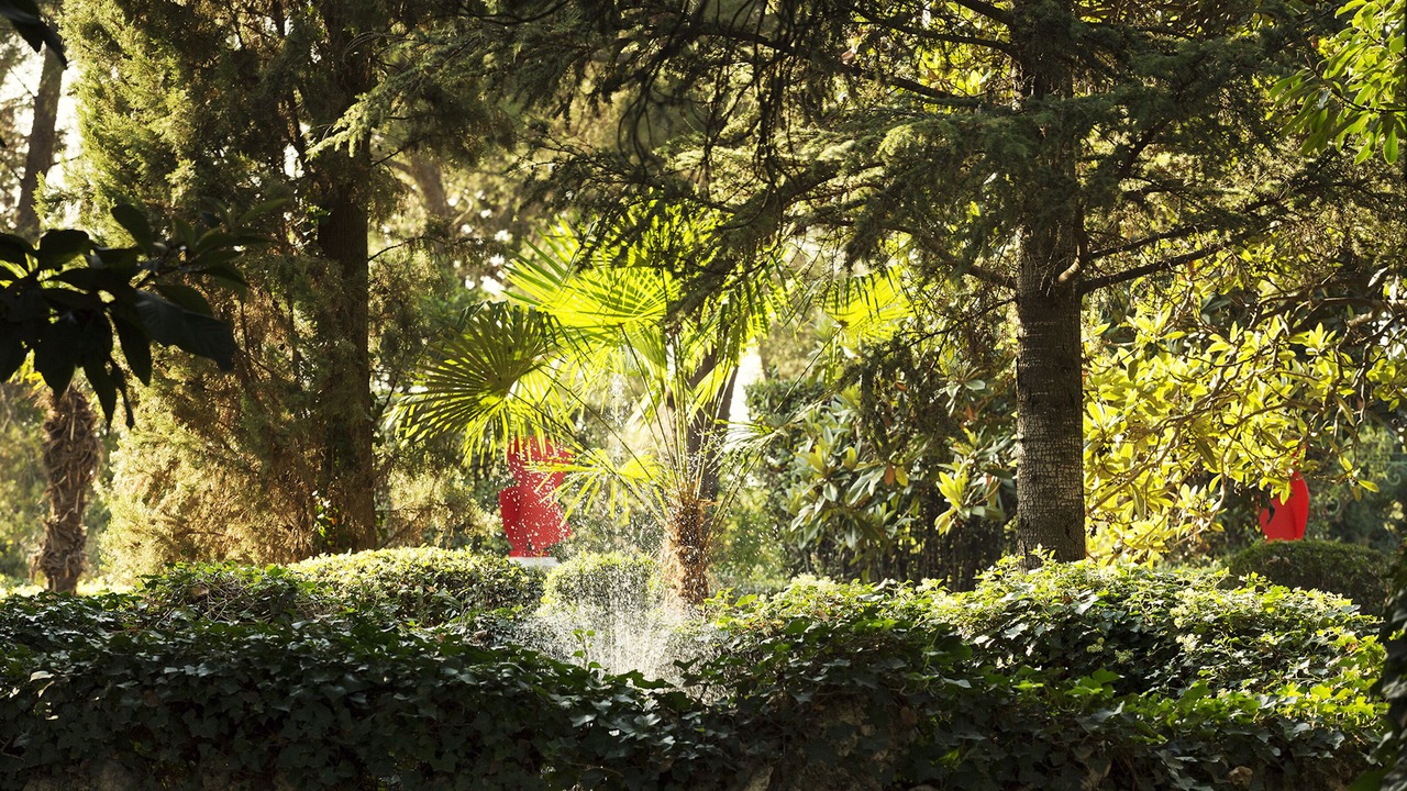 Photo of Outdoor in La Lironde