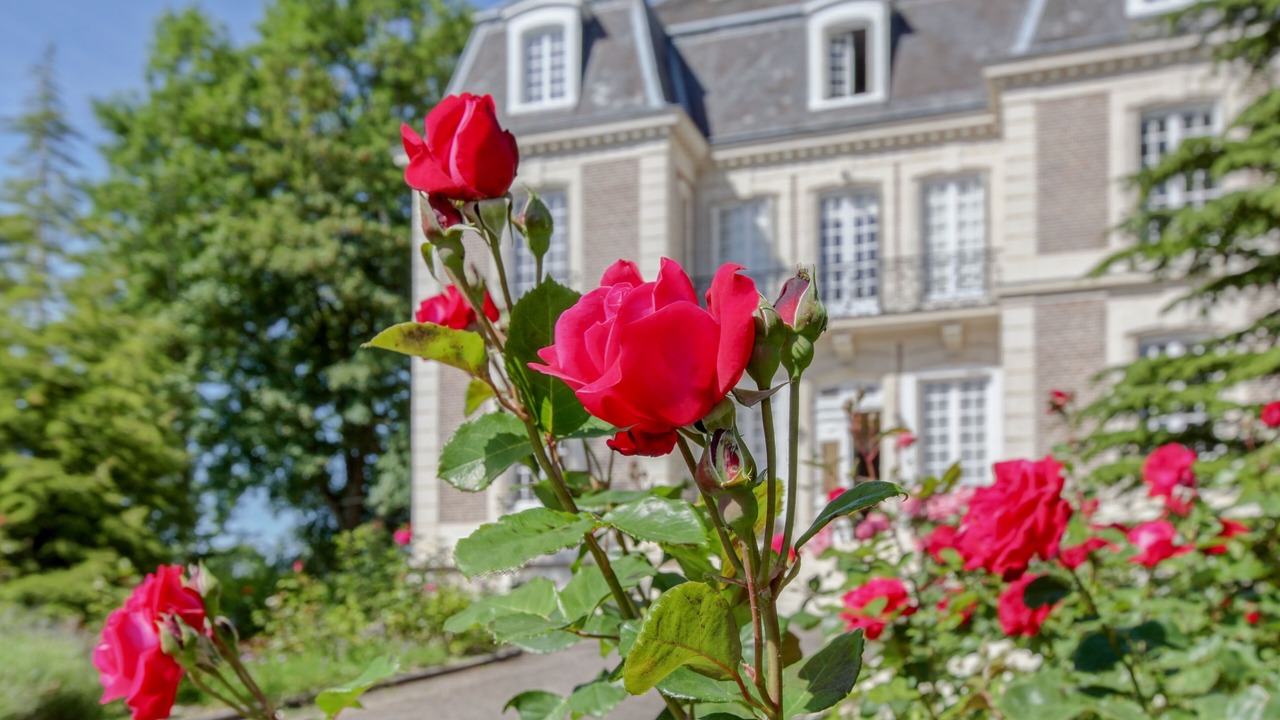 Photo of Outdoor in Avesnes-en-Bray