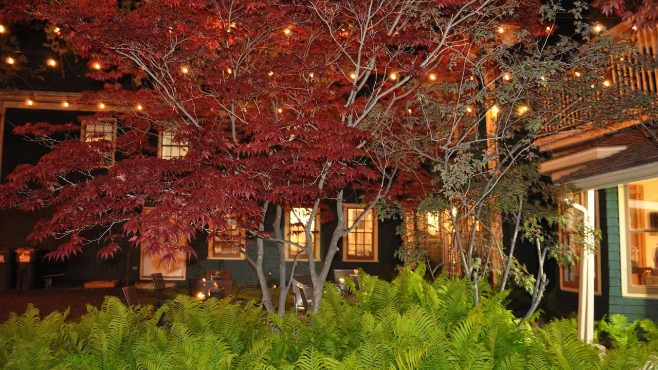 Photo of Outdoor in Summerside