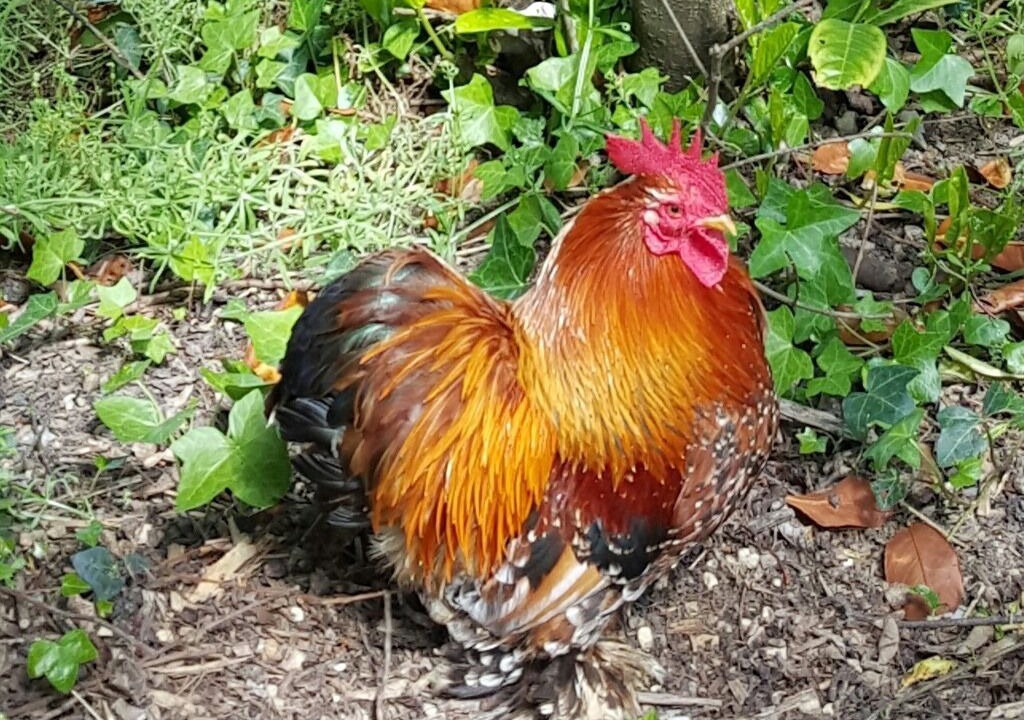 Photo of Others in Shepton Mallet