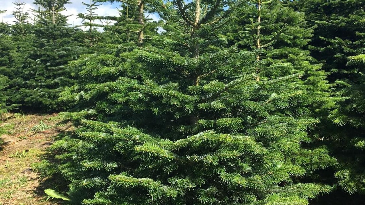 Photo of Outdoor in Engesvang