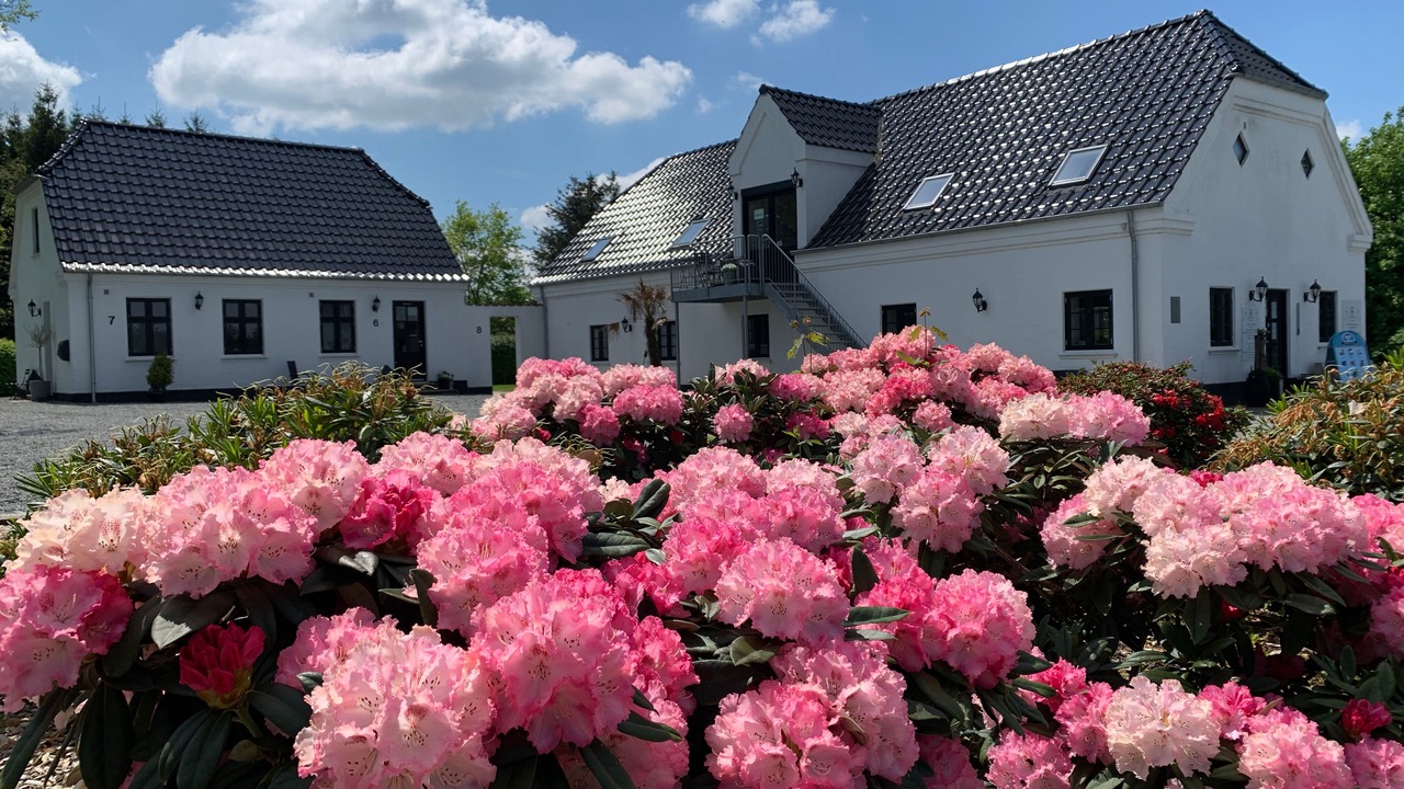 Photo of Buildings in Engesvang