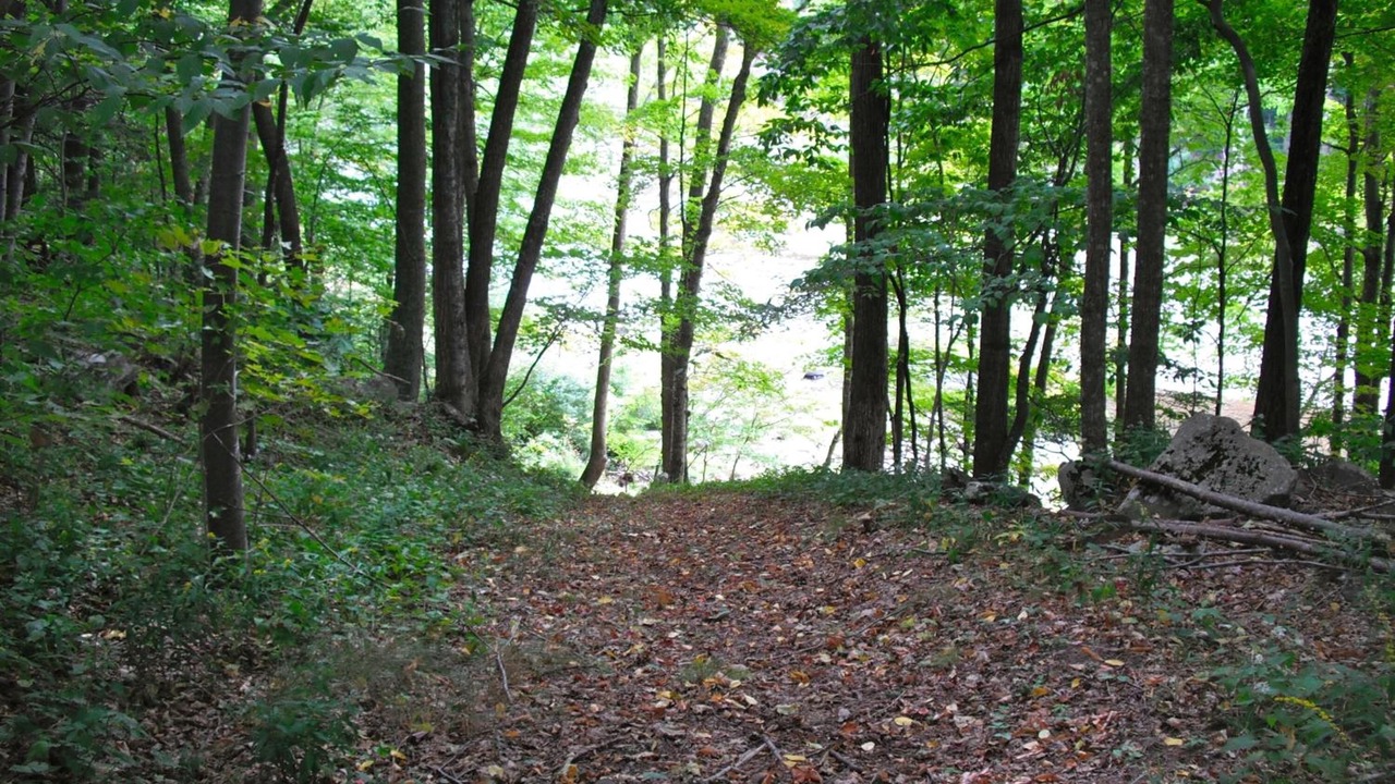 Photo of Outdoor in Prattsville
