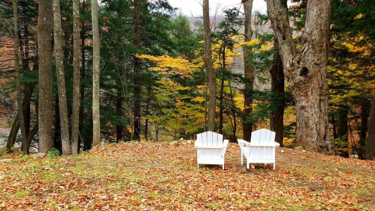 Photo of Outdoor in Prattsville