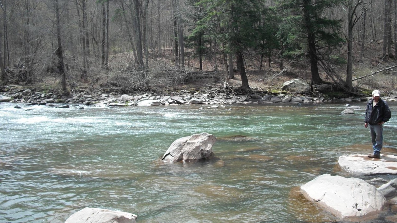 Photo of Outdoor in Prattsville