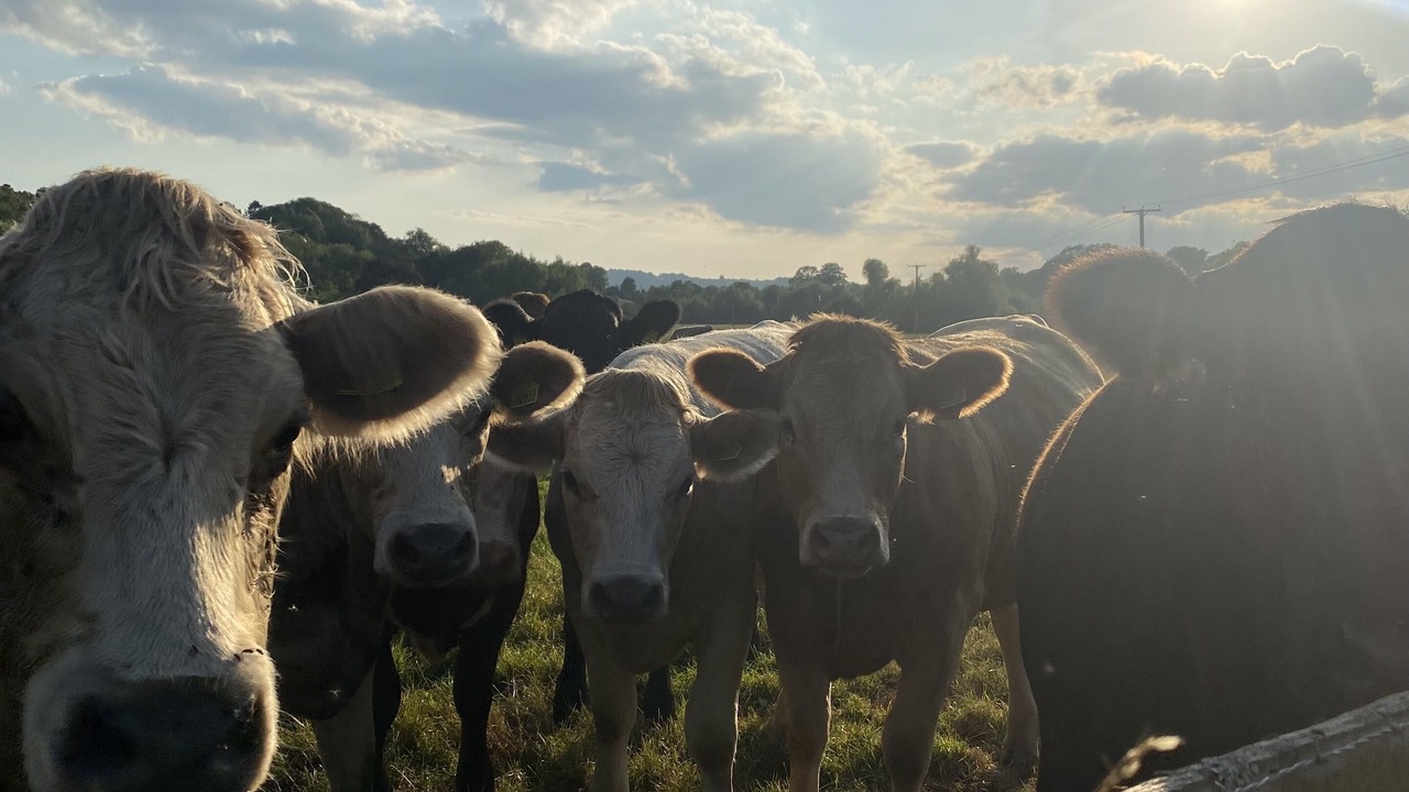 Photo of Outdoor in Knightwick