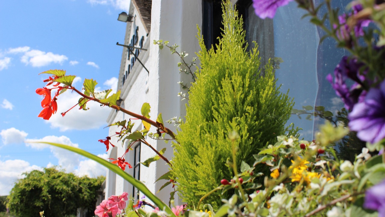 Photo of Outdoor in Knightwick