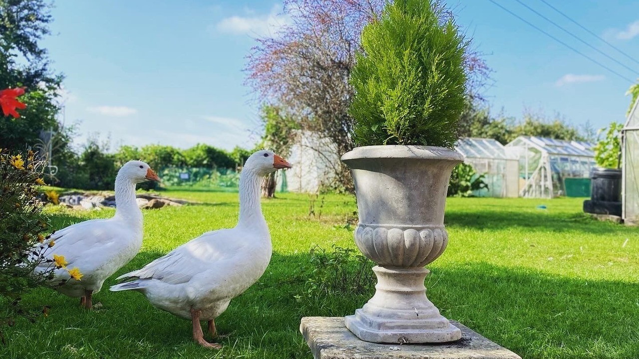 Photo of Outdoor in Knightwick