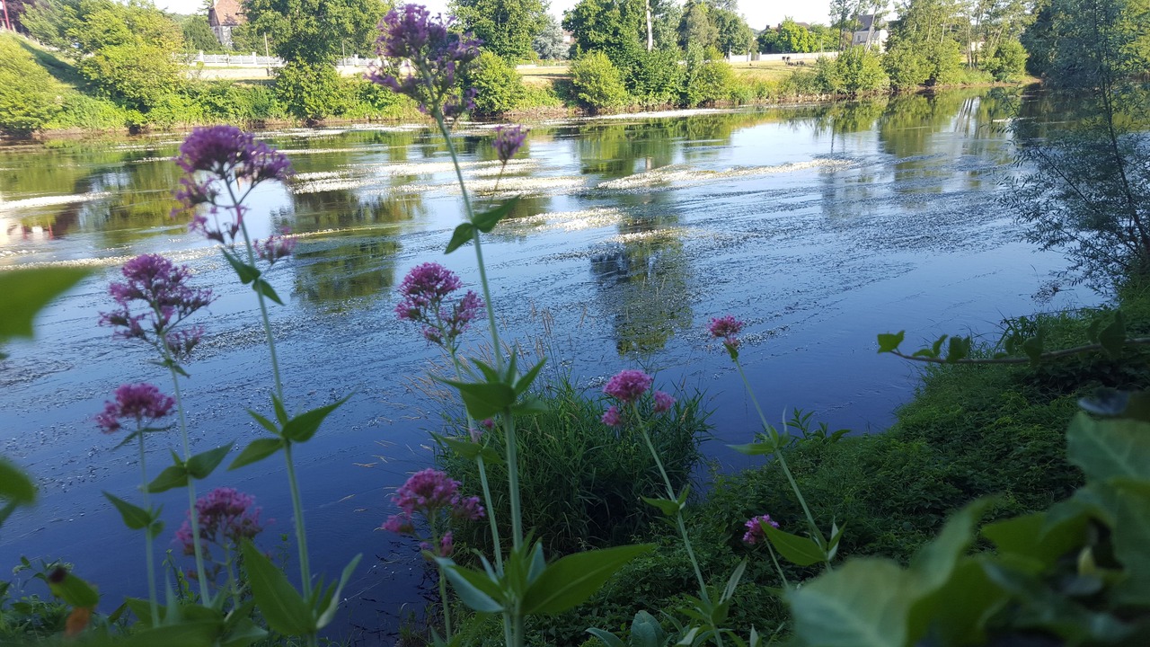 Photo of Outdoor in Saint-Savin