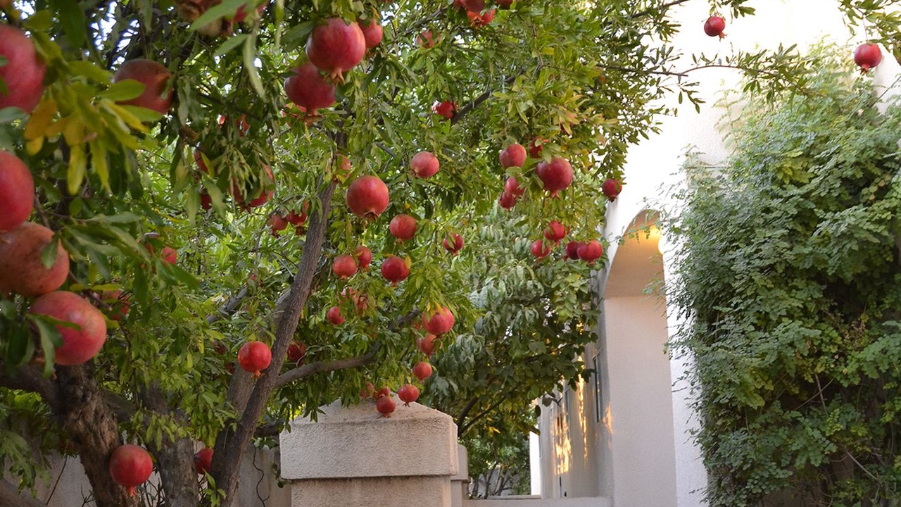 Photo of Outdoor in Fresno