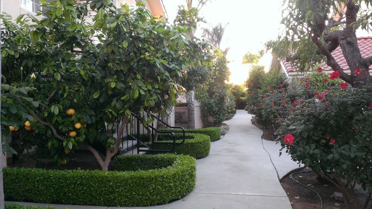 Photo of Patio Balcony in Fresno