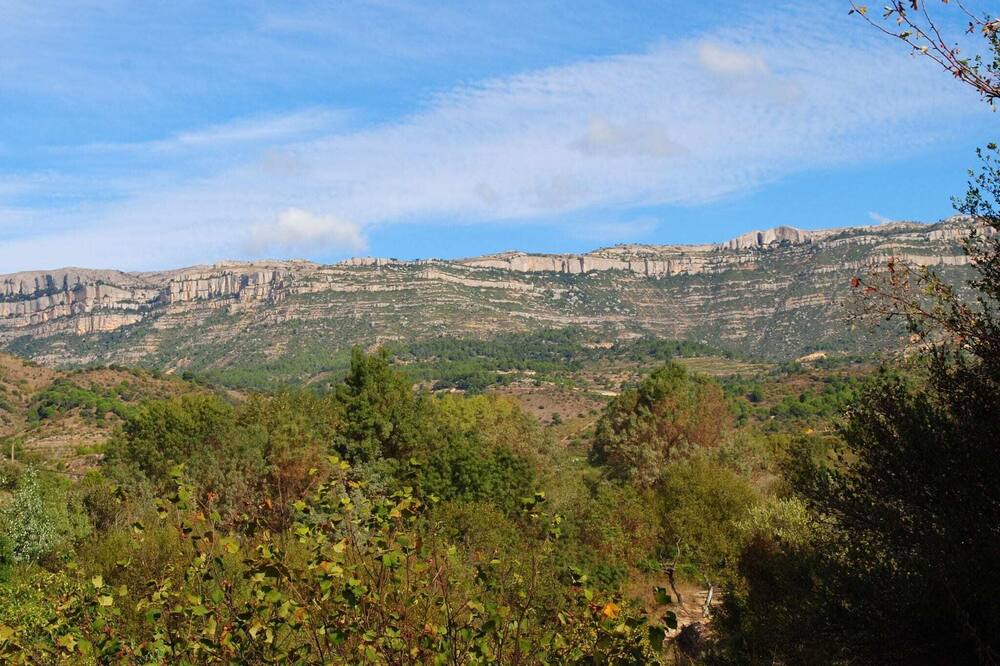 Photo of Others in Cornudella de Montsant