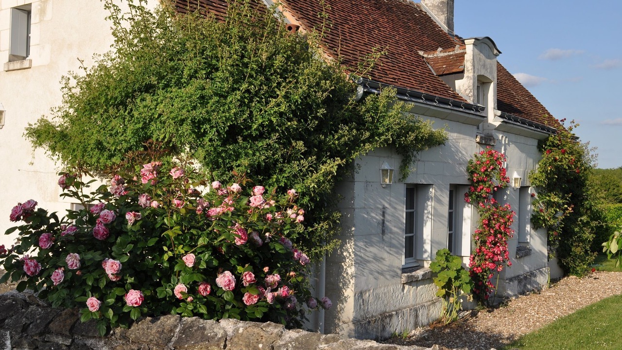 Photo of Outdoor in Chambourg-sur-Indre