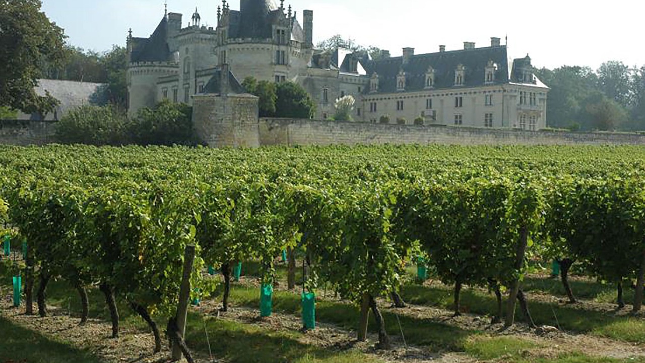 Photo of Outdoor in Chambourg-sur-Indre