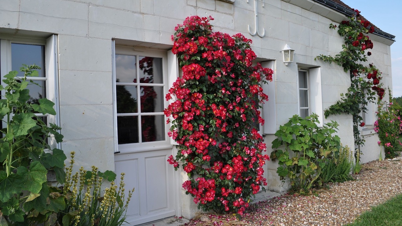 Photo of Outdoor in Chambourg-sur-Indre