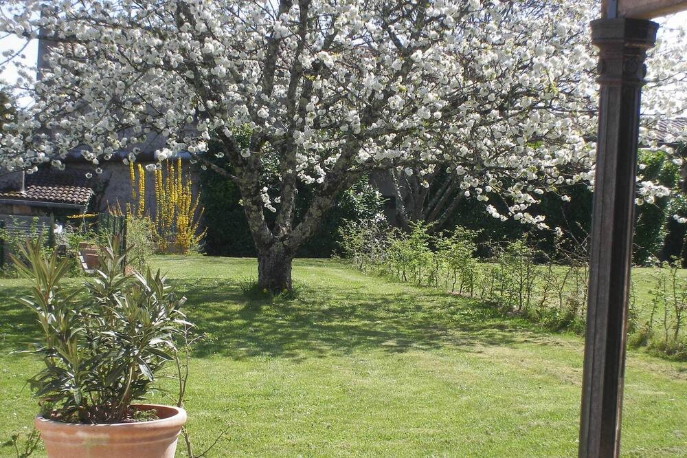 Photo of Outdoor in Saint-Cibard