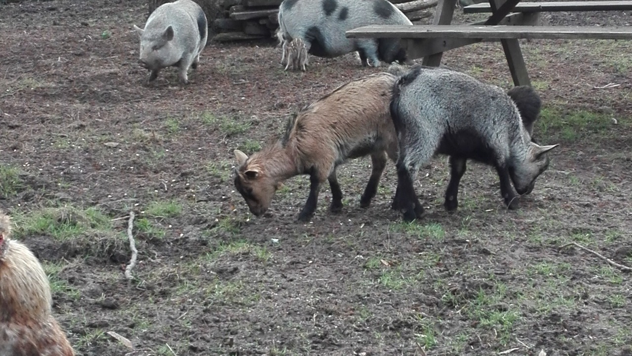 Photo of Outdoor in Pons