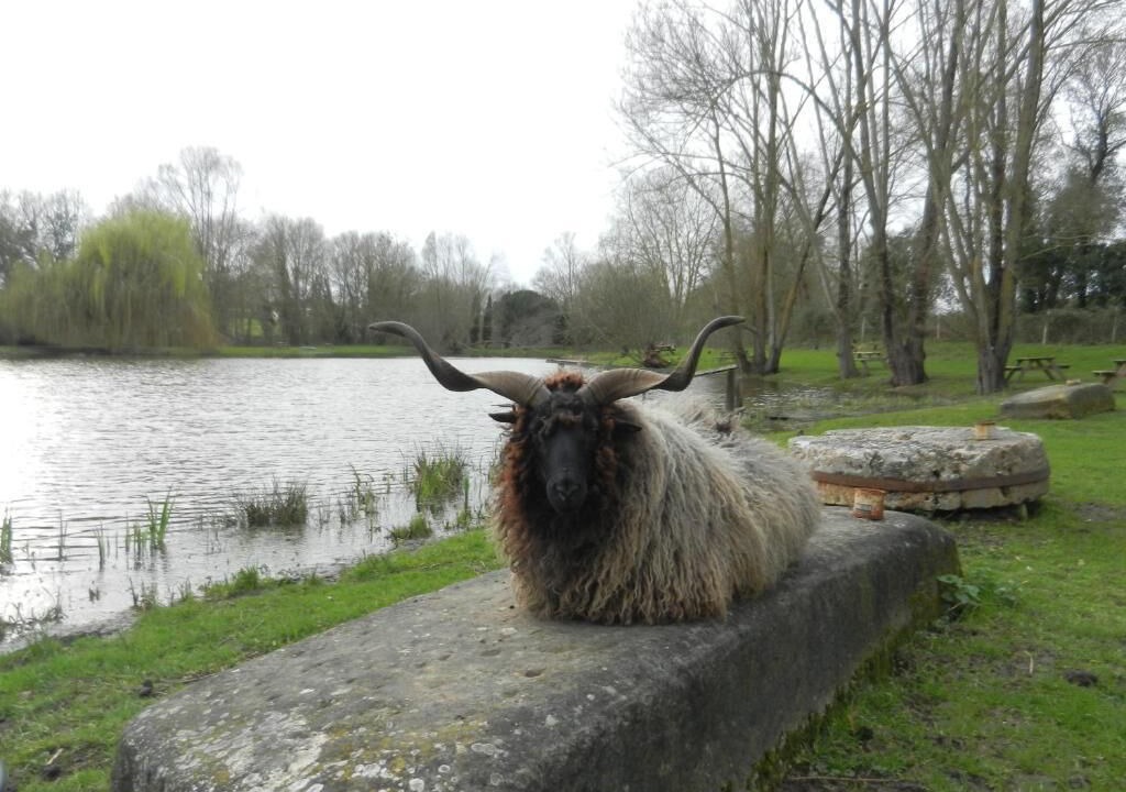 Photo of Outdoor in Pons