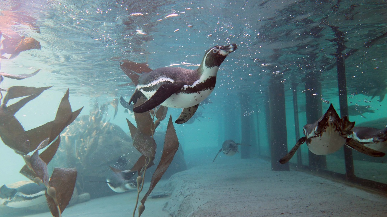 Photo of Others in Givskud