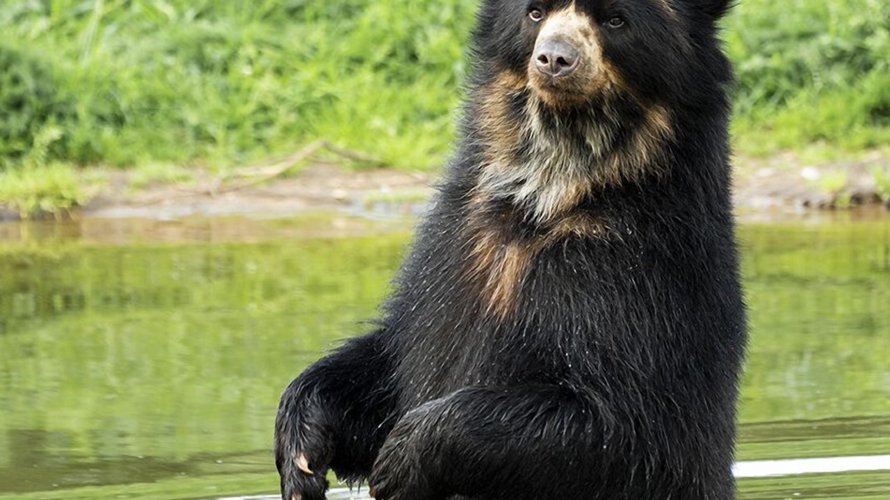 Photo of Others in Givskud