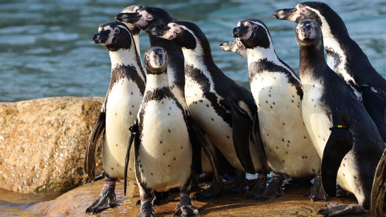 Photo of Outdoor in Givskud