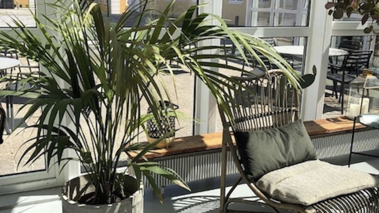 Photo of Others in Lokken