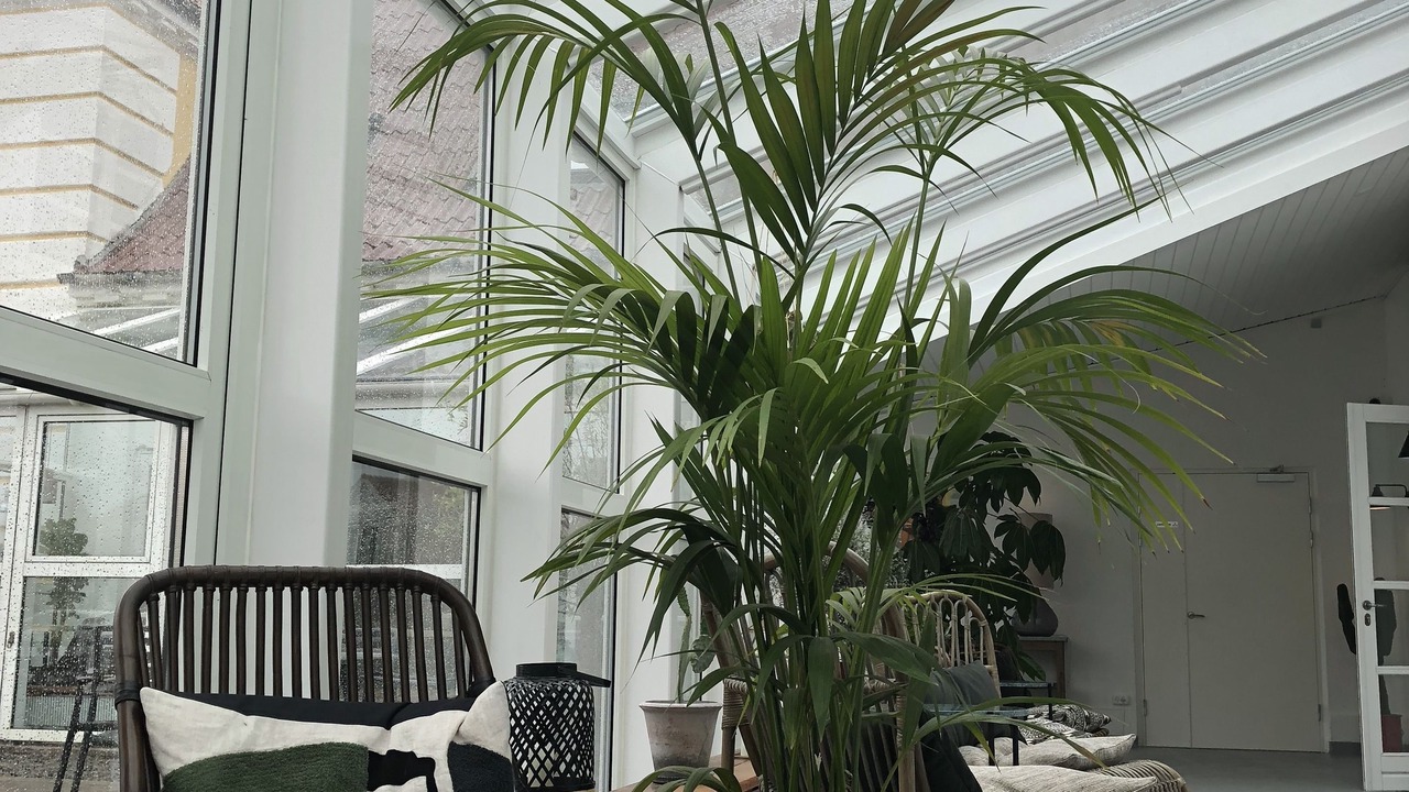 Photo of Others in Lokken