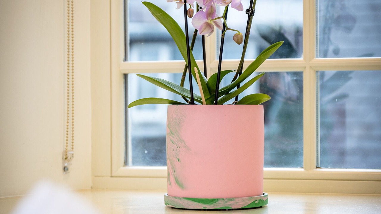 Photo of Others in Lewiston