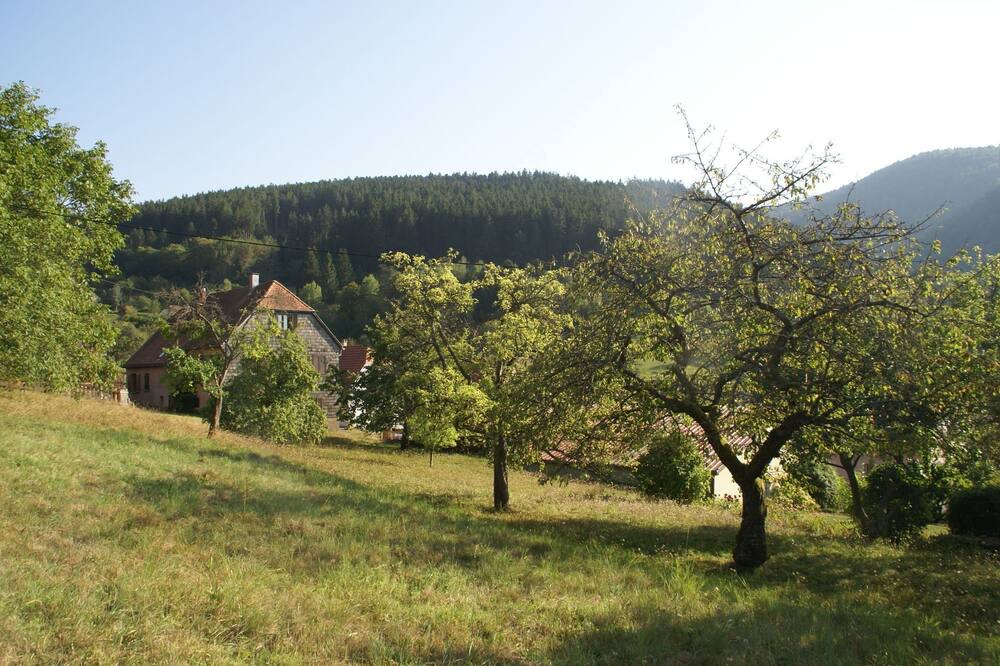 Photo of Others in Natzwiller