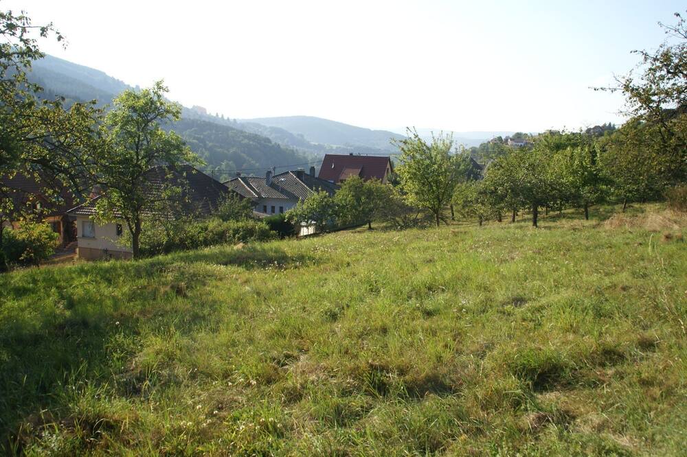 Photo of Outdoor in Natzwiller