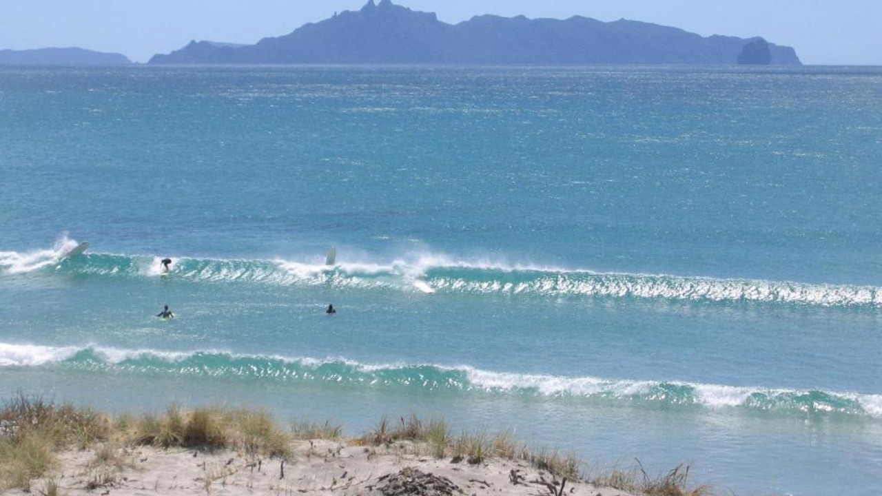 Photo of Others in Mangawhai Heads