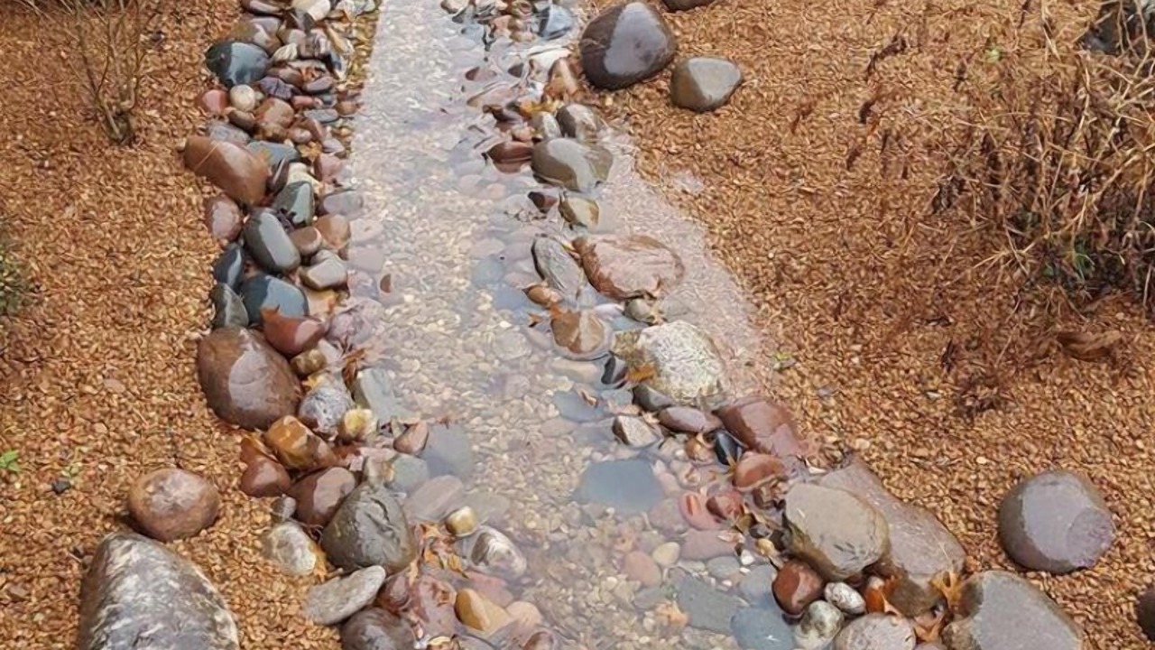 Photo of Outdoor in Seymour
