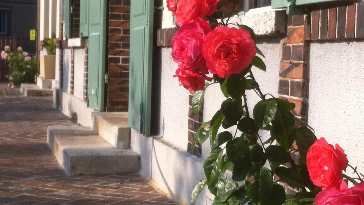 Photo of Outdoor in Illiers-Combray