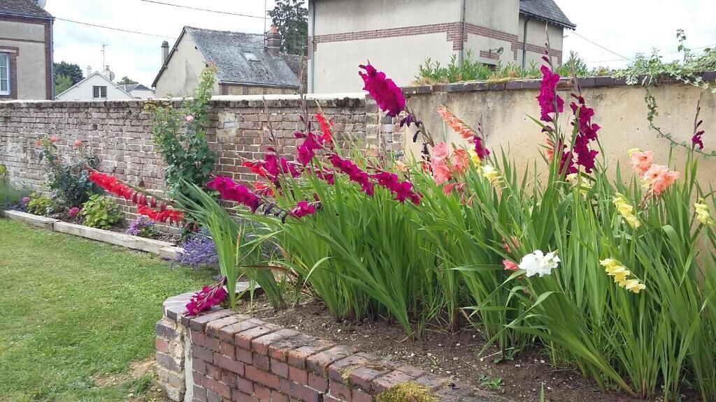 Photo of Outdoor in Illiers-Combray