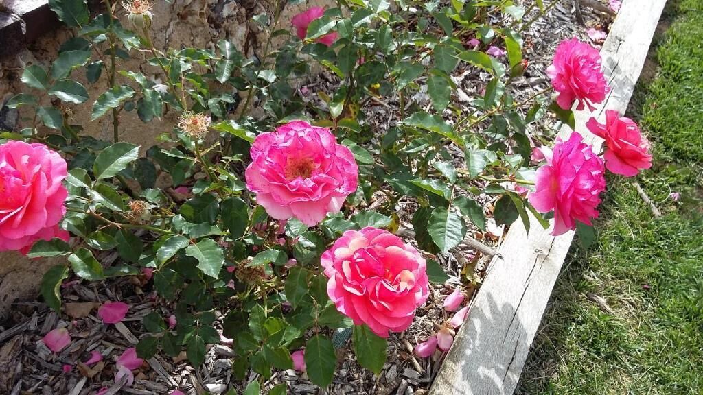 Photo of Outdoor in Illiers-Combray