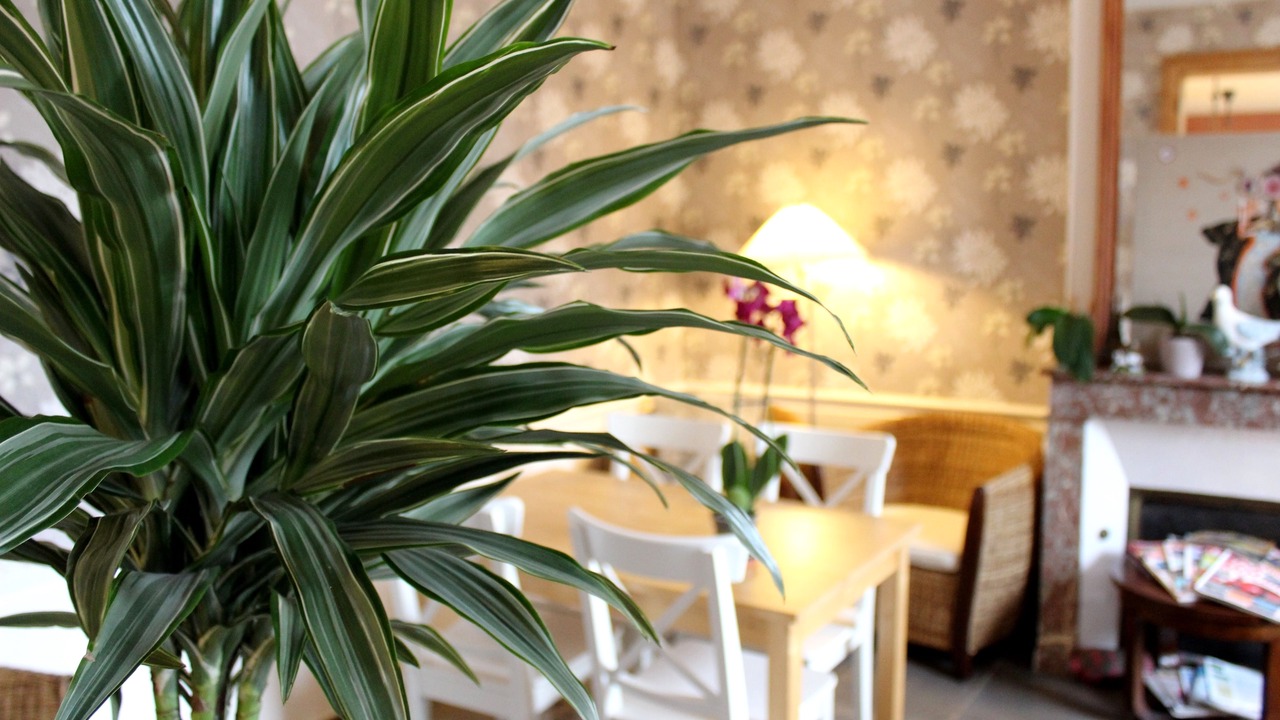 Photo of Others in Illiers-Combray