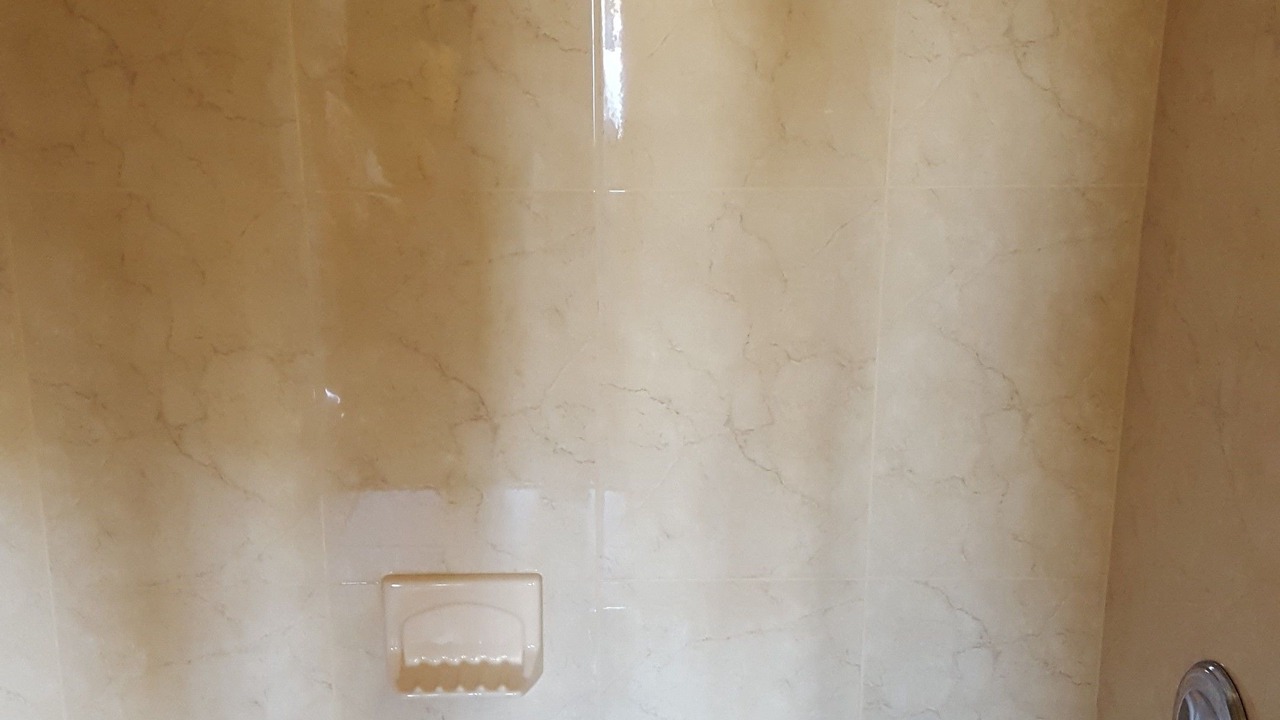 Photo of Others in Bridgeview