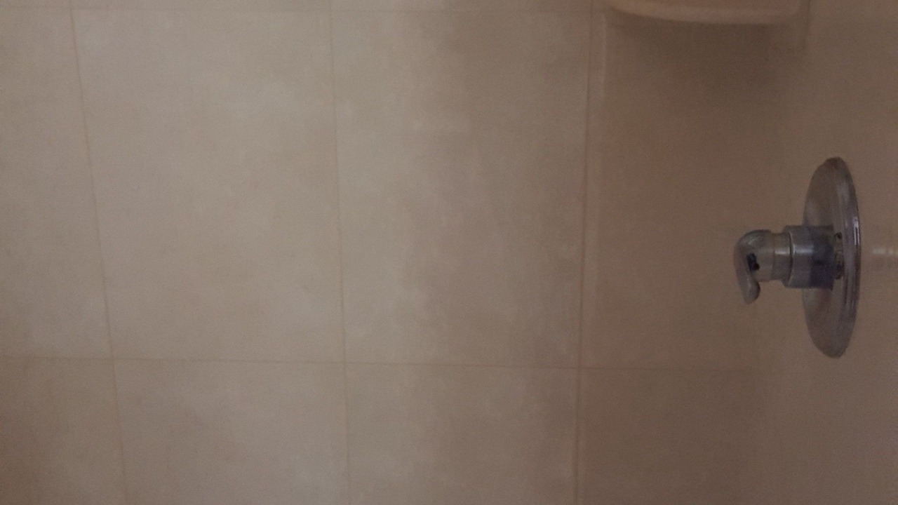 Photo of Others in Bridgeview