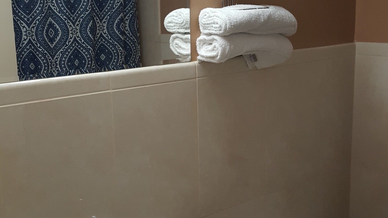 Photo of Others in Bridgeview