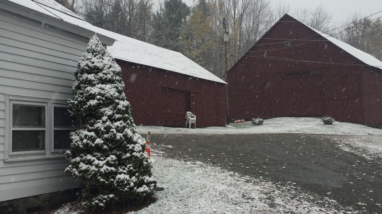 Photo of Others in Williamsville