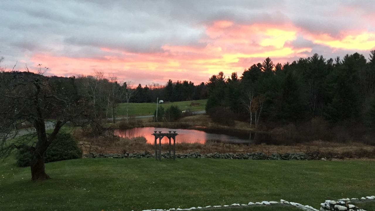 Photo of Others in Williamsville