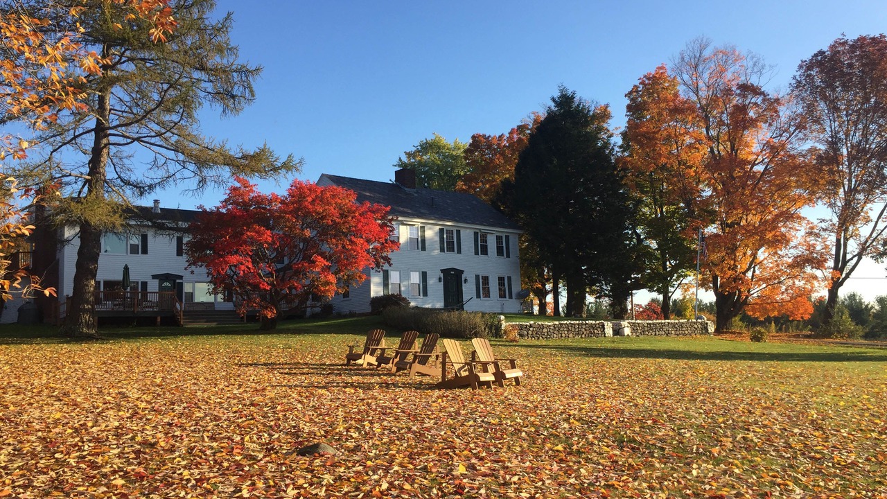 Photo of Buildings in Williamsville