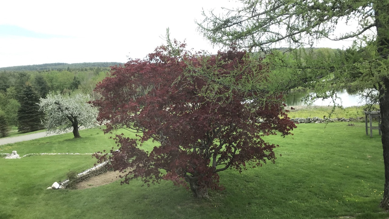 Photo of Others in Williamsville