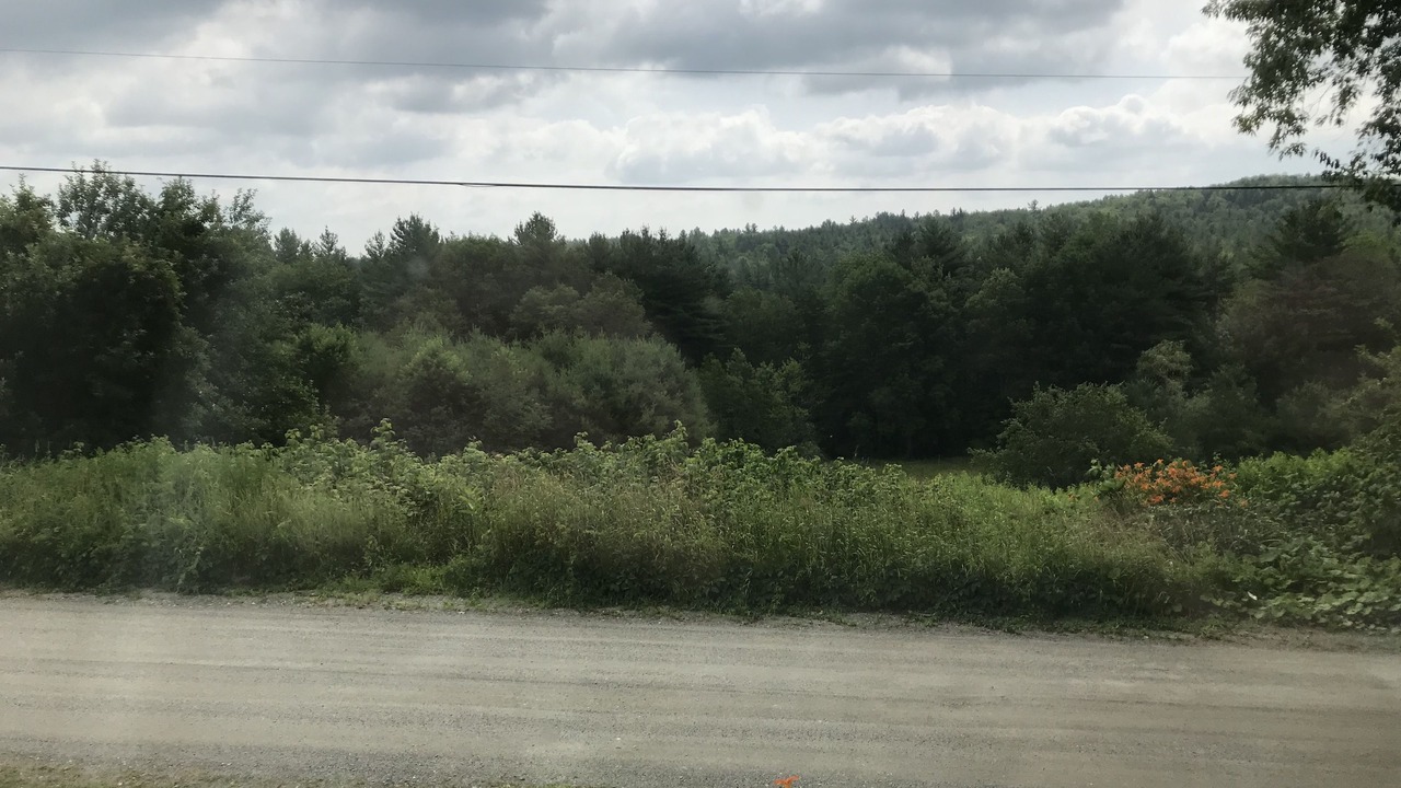Photo of Bedroom in Williamsville