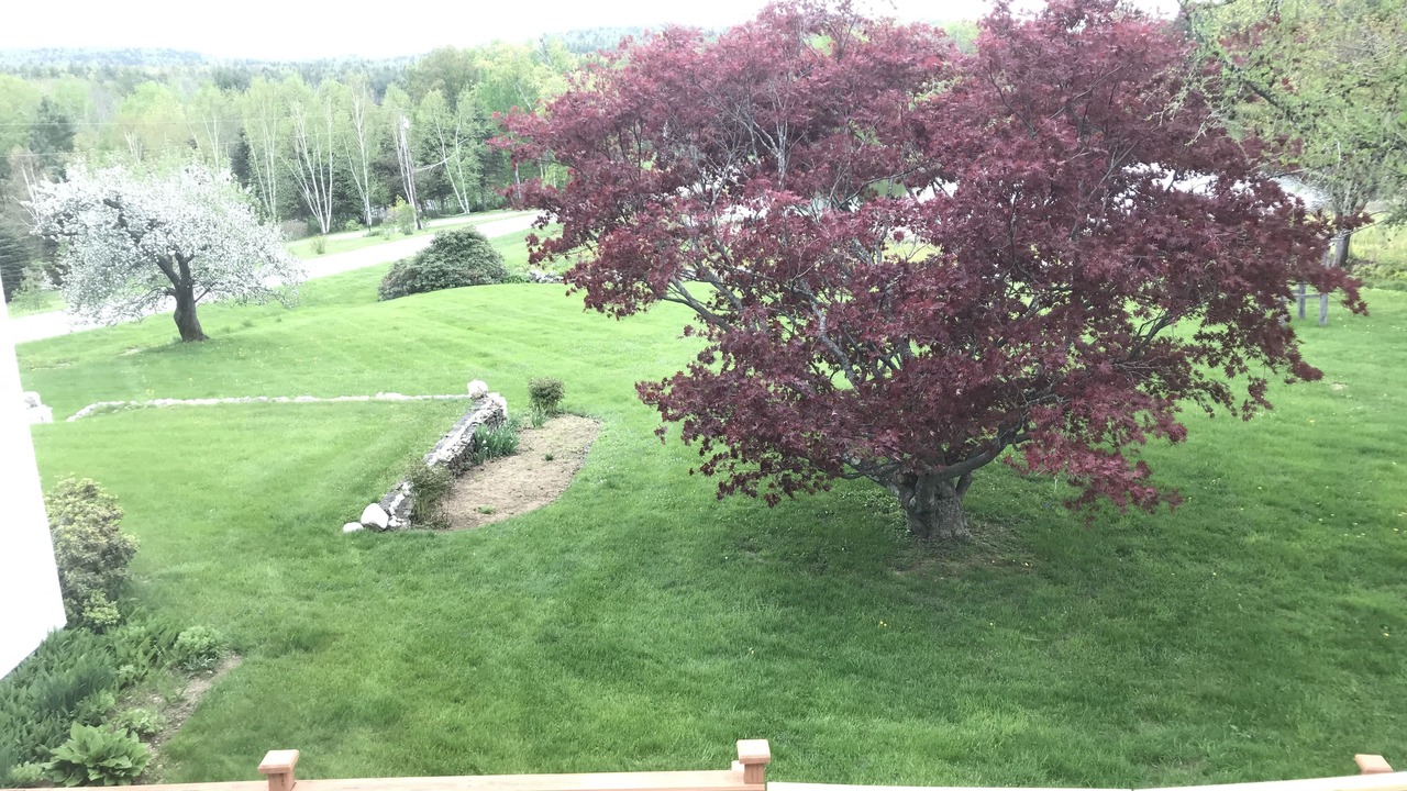 Photo of Bedroom in Williamsville