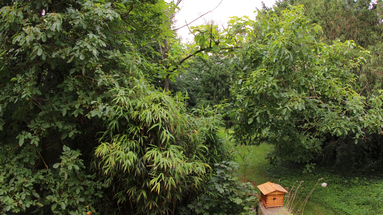 Photo of Outdoor in Flottemanville