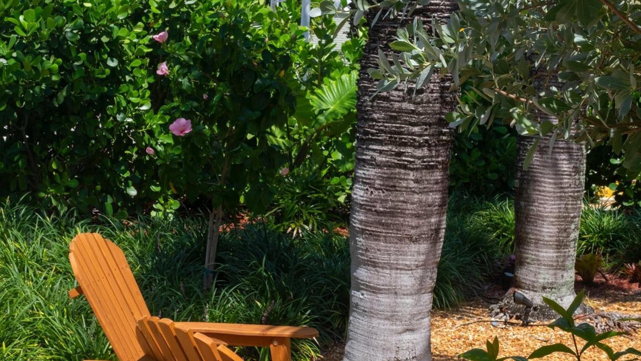 Photo of Outdoor in Delray Beach