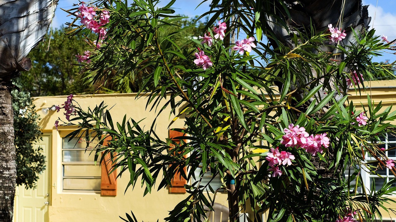 Photo of Outdoor in Delray Beach